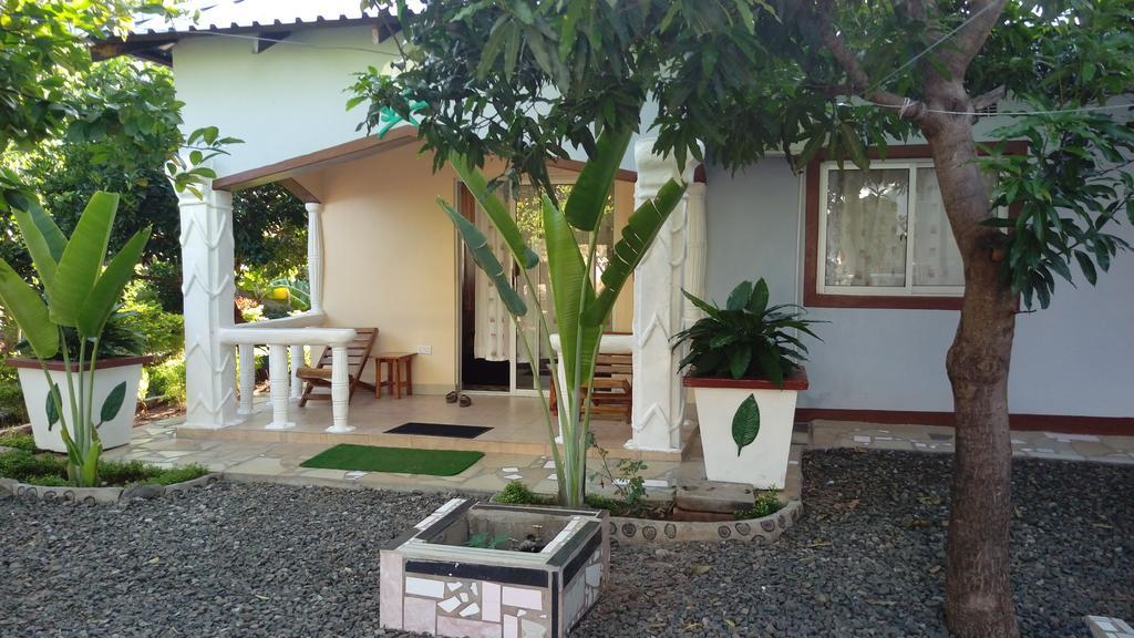 White Rose Lodge Livingstone Exterior foto
